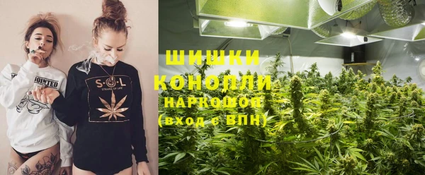 ГАЛЛЮЦИНОГЕННЫЕ ГРИБЫ Балахна