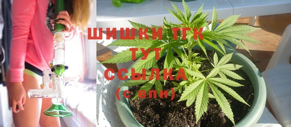 ГАЛЛЮЦИНОГЕННЫЕ ГРИБЫ Балахна