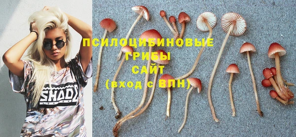 синтетический гашиш Киренск