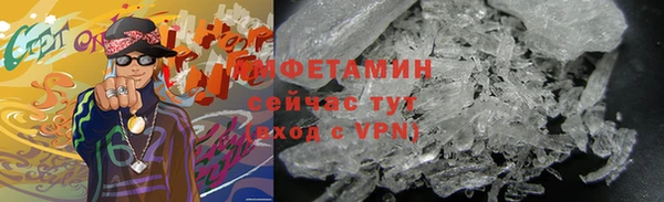 сатива Беломорск