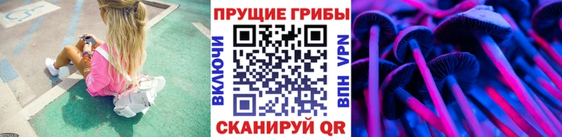 Псилоцибиновые грибы прущие грибы  Коммунар 